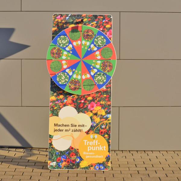 Glücksrad Business Small